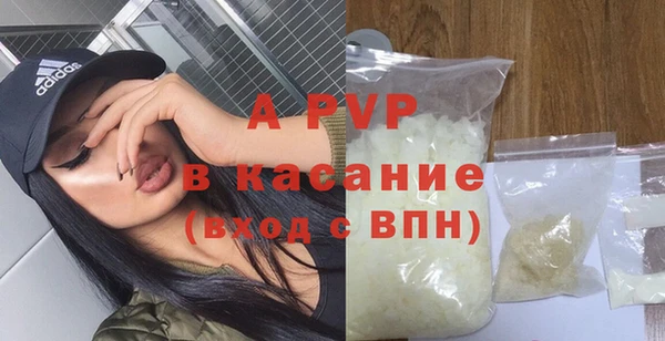 гашик Каменногорск