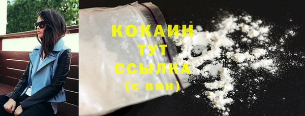 гашик Каменногорск