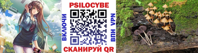 Купить где  Грязовец  Псилоцибиновые грибы GOLDEN TEACHER 
